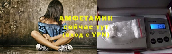 стафф Михайлов