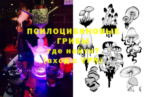 стафф Михайлов