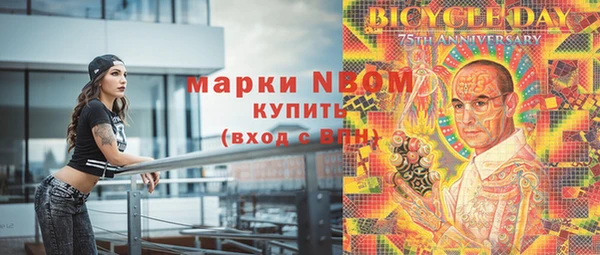 прущие грибы Михайловка