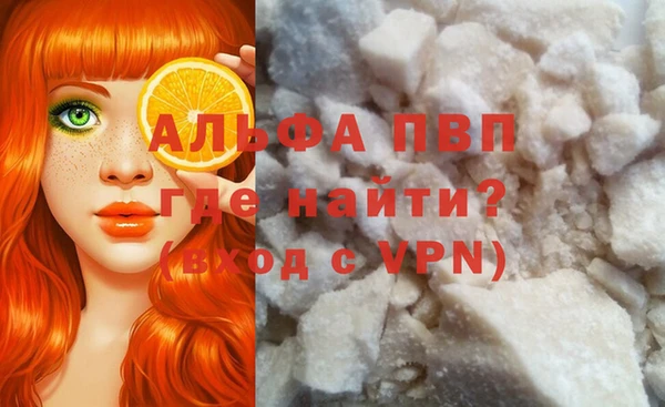прущие грибы Михайловка
