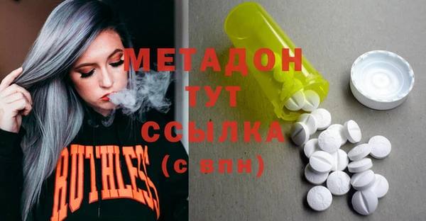прущие грибы Михайловка