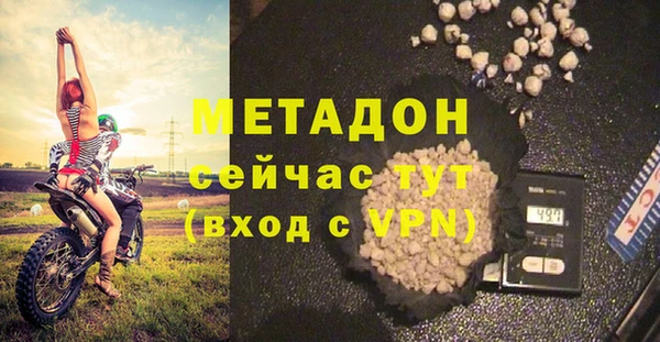 прущие грибы Михайловка