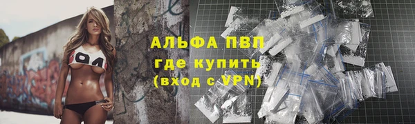 стафф Михайлов