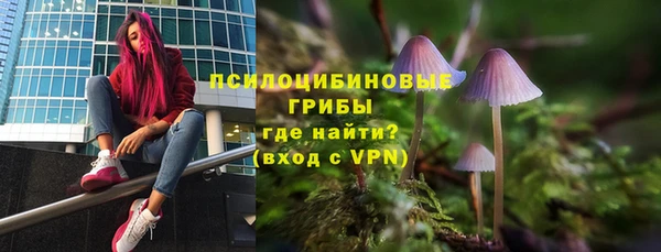 стафф Михайлов