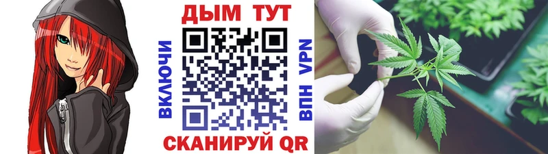 МАРИХУАНА Bruce Banner  Александровск-Сахалинский 